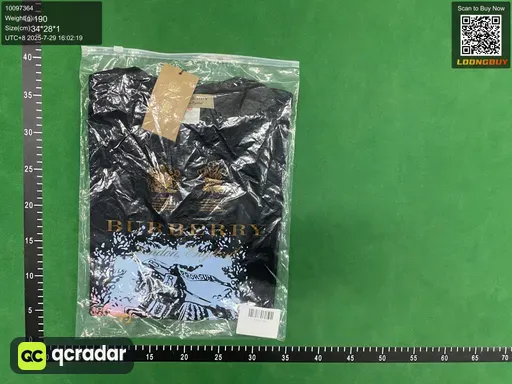 __qc_other__ d:2025-07-29