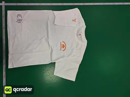 __qc_other__ d:2025-06-06