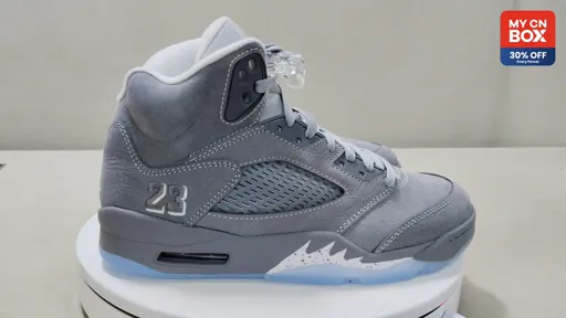 Wolf Grey DD0587-002