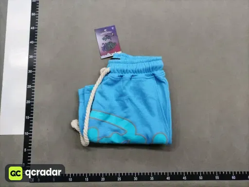 __qc_other__ d:2026-04-21