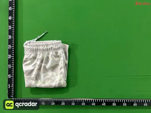 BAPE短裤 14