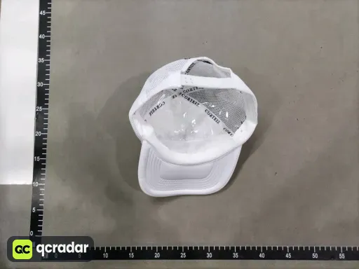 __qc_other__ d:2026-05-19
