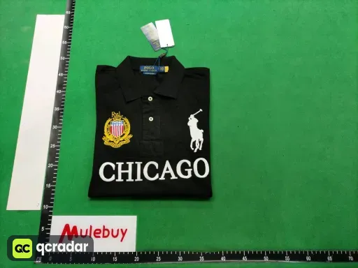 __qc_other__ d:2025-08-18