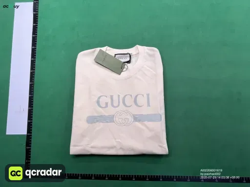 __qc_other__ d:2025-07-29