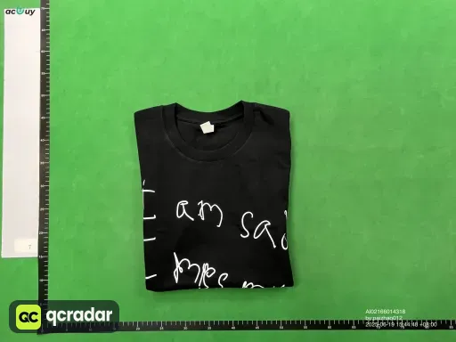 __qc_other__ d:2025-06-19