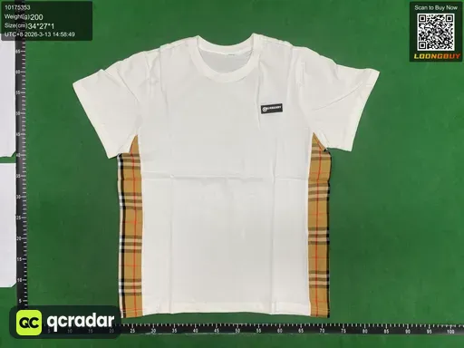 __qc_other__ d:2026-03-13