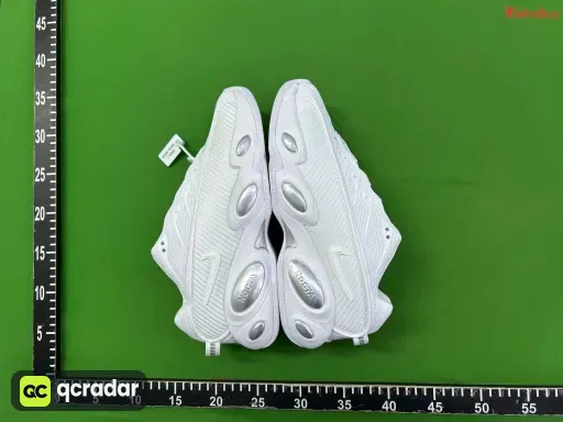 QC fotka