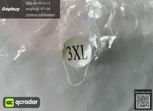 __qc_other__ d:2026-04-09