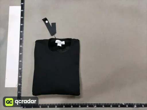 __qc_other__ d:2026-01-20