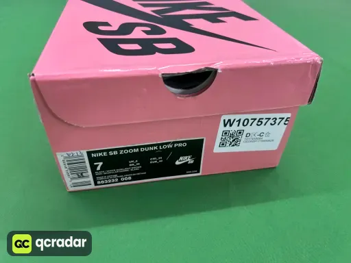 Black Pigeon