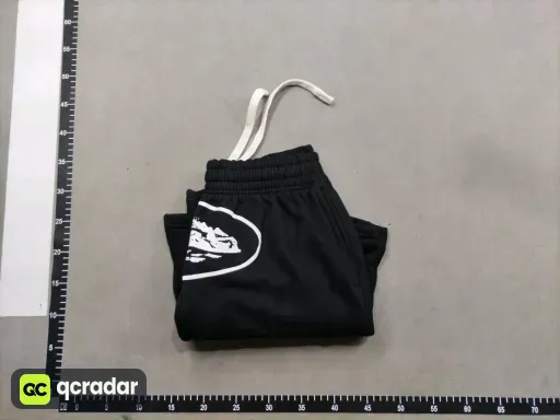 __qc_other__ d:2026-04-10