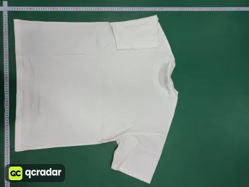 __qc_other__ d:2026-03-27