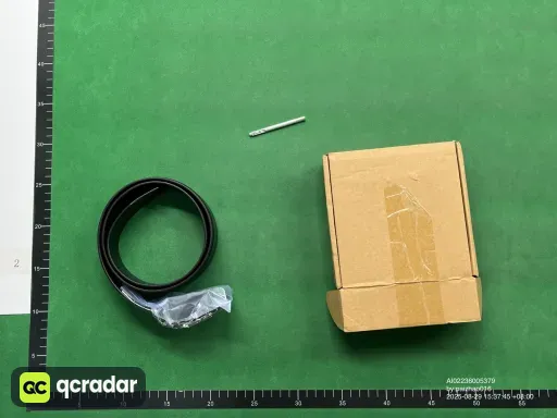 八爪银扣 荔枝纹带