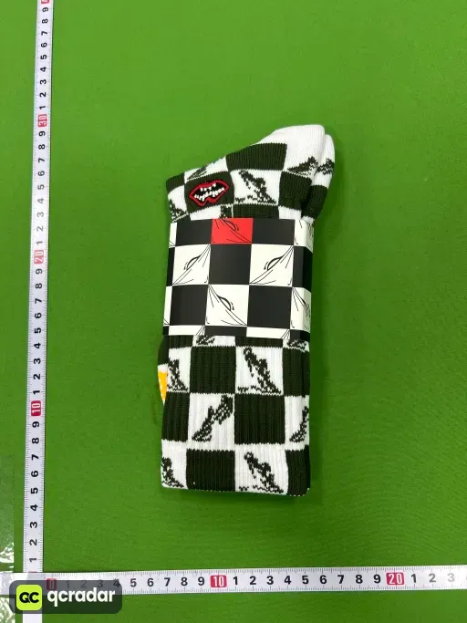 19号
