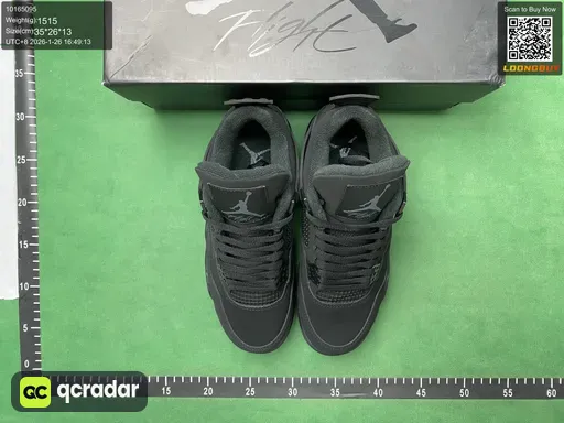 __qc_other__ d:2026-01-26