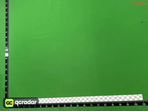 白格 银扣