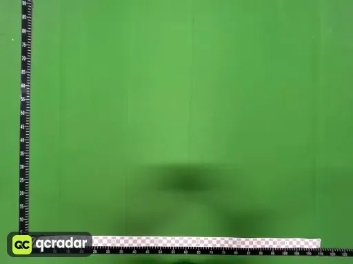 白格 银扣