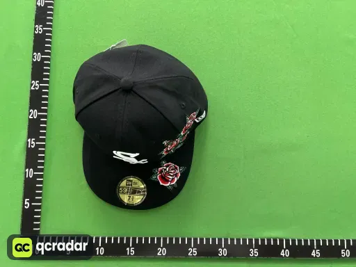 白袜队1 White Sox
