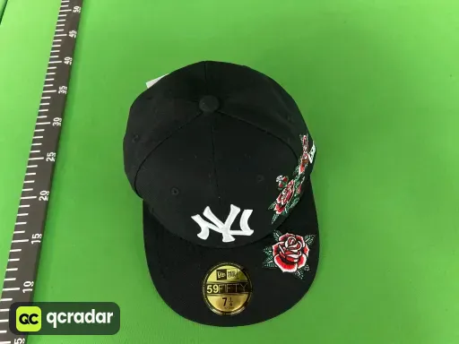洋基队2 New York Yankees