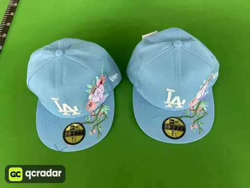 道奇队1 Los Angeles Dodgers