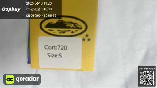 __qc_other__ d:2026-04-10