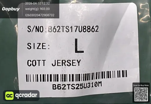 __qc_other__ d:2026-04-10