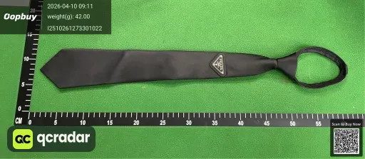 __qc_other__ d:2026-04-10