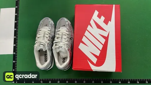 CN0149-001 P-6000 Silver Grey