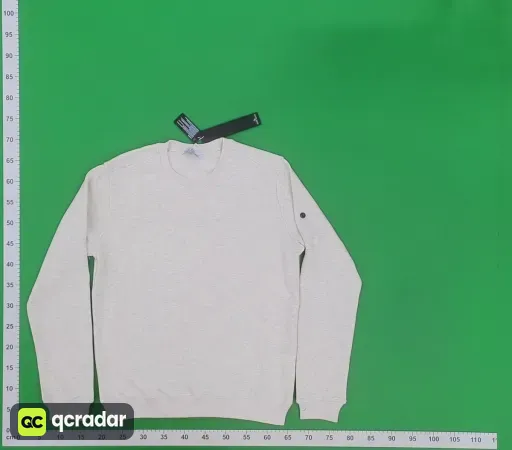 __qc_other__ d:2026-01-31