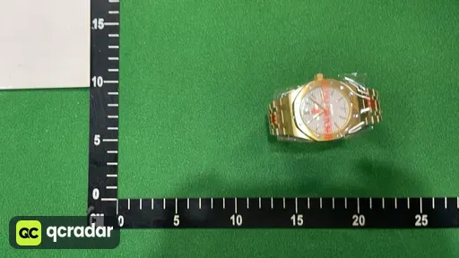 黄金色壳·白盘钢带