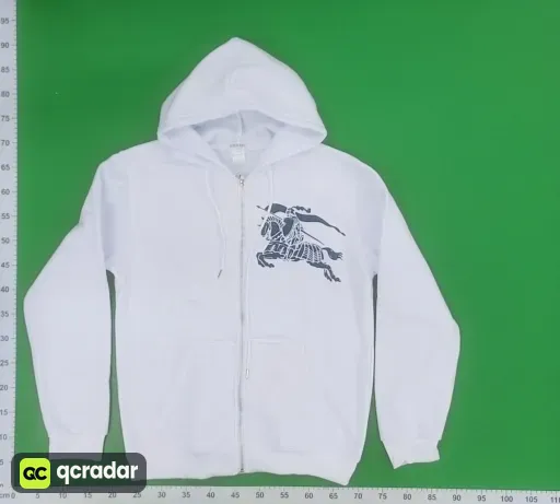 __qc_other__ d:2026-01-27