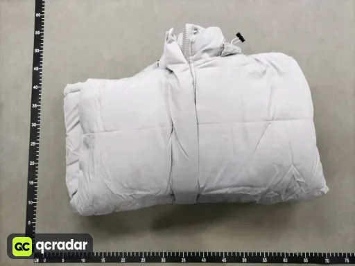 __qc_other__ d:2025-10-27