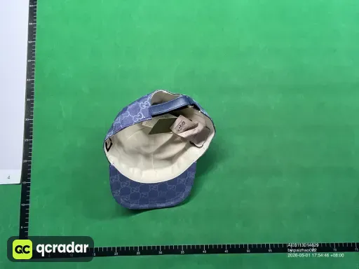 __qc_other__ d:2026-05-01