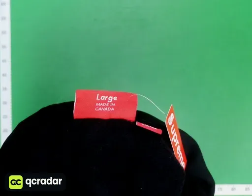 __qc_other__ d:2026-03-24