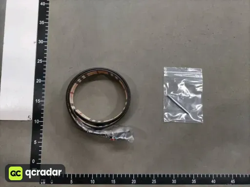 __qc_other__ d:2026-03-20