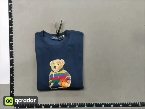 __qc_other__ d:2026-01-31