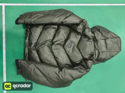 __qc_other__ d:2025-10-24
