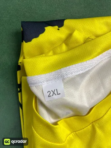23-24多特主场