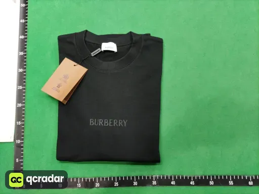 __qc_other__ d:2025-10-11