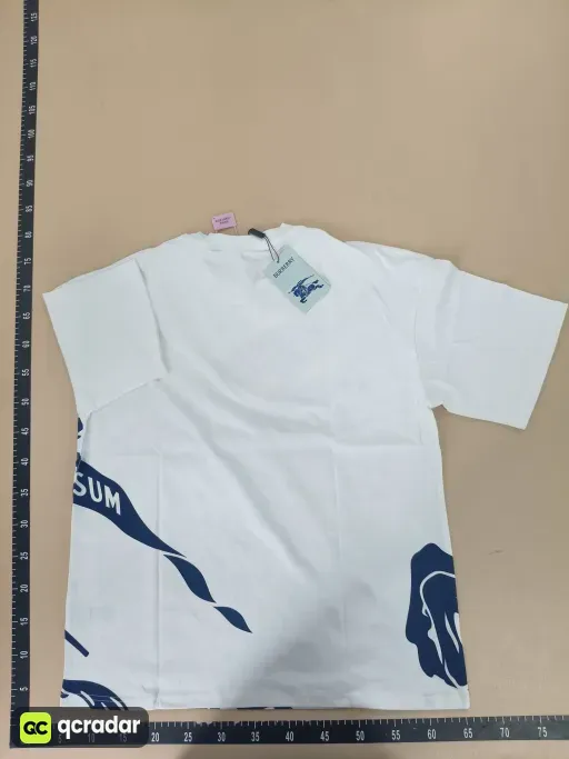 __qc_other__ d:2026-07-10