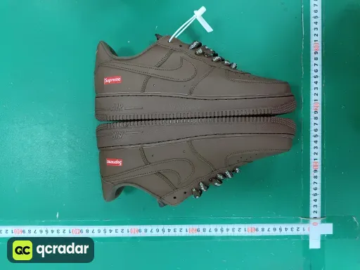 __qc_other__ d:2026-03-06