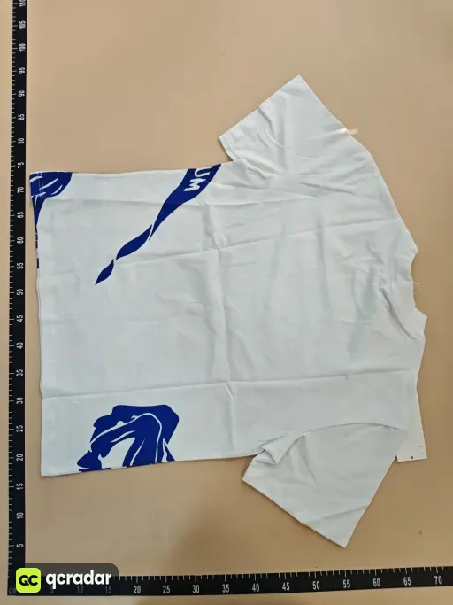 __qc_other__ d:2026-06-06