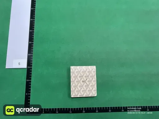__qc_other__ d:2026-03-10