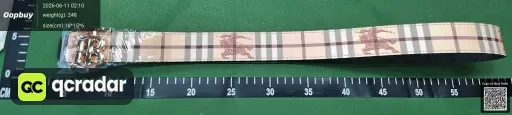 __qc_other__ d:2026-06-10