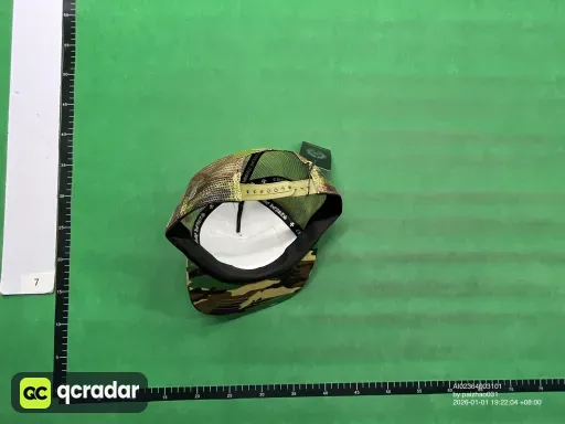 __qc_other__ d:2026-01-01