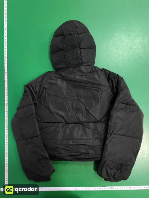 __qc_other__ d:2026-01-29