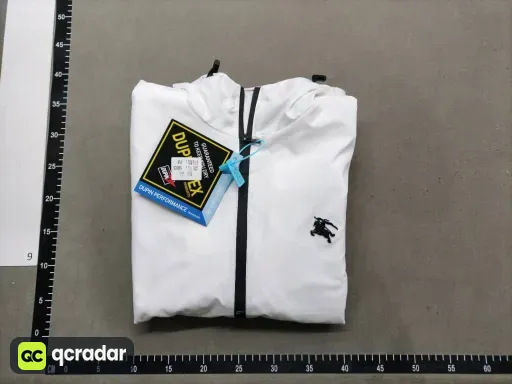 __qc_other__ d:2026-01-10