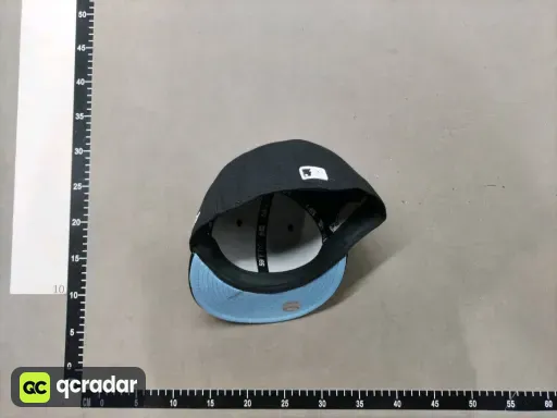 __qc_other__ d:2026-03-31