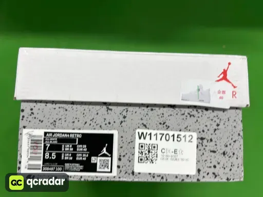 308497-100