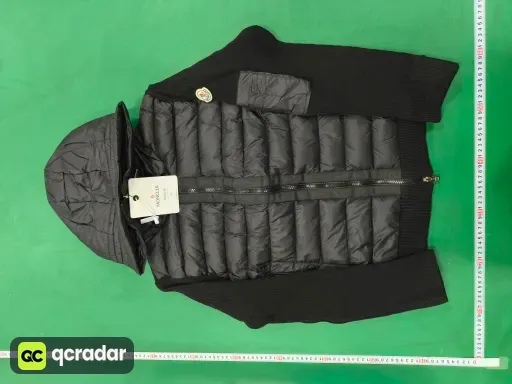 __qc_other__ d:2026-01-24